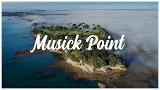 Musick Point Drone Footage - New Zealand 🇳🇿