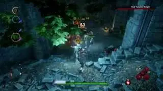 Dragon Age Inquisition: Saarebas can be OP!!!