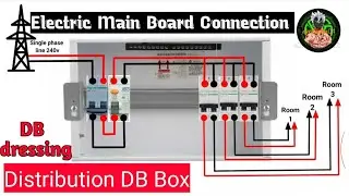 |Electric Main Board Connection|Distribution Db Box Wiring|DB Dressing Connection