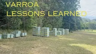 🐝 Уроки, извлеченные из борьбы с клещом варроа. Советы по борьбе с клещом варроа в австралийских ...