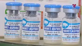 Vietnam&rsquo;s African swine fever vaccine export makes headlines in RoK