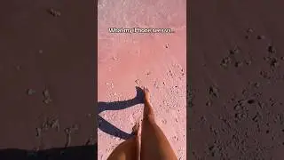 Pink sand beach in Komodo National Park