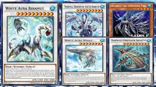 Deadreef the Ephemeral Fish Fury of Kairyu-Shin Deck White Aura Bihamut  海竜神の激昂