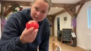 Мини-конг-мяч