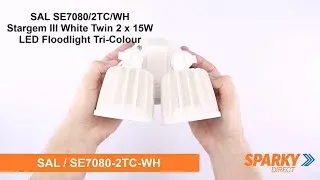 SAL SE7080/2TC/WH | Stargem III White Twin 2 x 15W LED Floodlight Tri-Colour