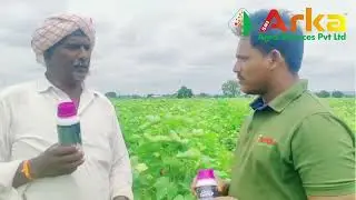Sri Arka's 