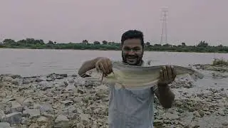 Wallego Fishing Adventure 🎣 | Casting Rod + Spoon Lure in Indian River