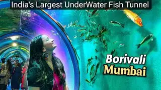 Borivali Fish Tunnel Full Information | The Zingaat Girl Vlogs
