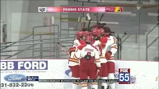 Komets add defenseman Michaelian to roster