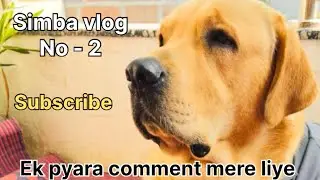 Aaj simba se khub masti ki 😀❤️😊