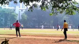Mauka Bullster vs Mauka Phoenix live cricket match | 11-Jan-26 10:04 AM 20 live - Mauka Winter Leag