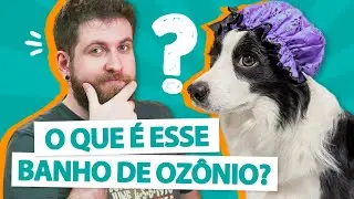 BANHO DE OZÔNIO EM PET? 🚿 🐕🛁