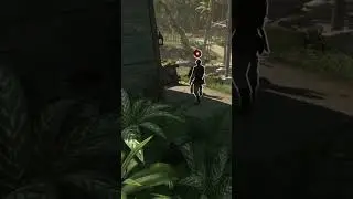 BERSERK DART Assassin's Creed Freedom Cry #assassinscreed