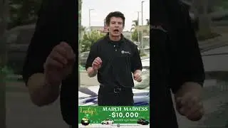 Alfa Romeo!!!  Best deal of the year!!!