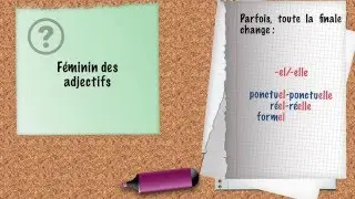L'accord de l'adjectif en français