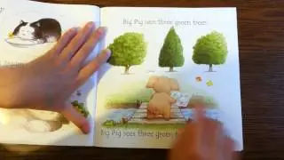 Phonics Readers:  Big Pig on a Dig- Laura reads along with a perfect British accent #4