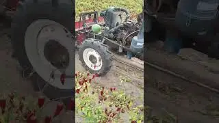 world best machine for harvesting farms #harvesting #machine