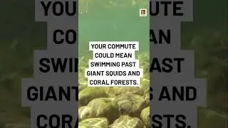 What If Humans Had Gills Instead of Lungs?