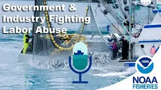 Combating Labor Abuse in the Seafood Sector