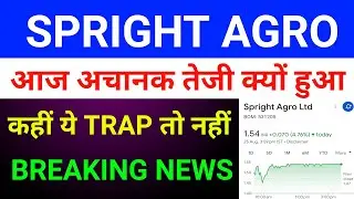 Spright Agro Share Latest News 🔴 Spright Agro Share Latest News Today|