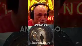 Joe Rogan Talks About Theories About Time Travel?!? #joerogan #shorts #timetravel