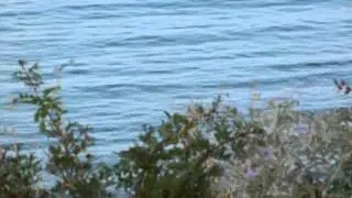Nea Fokia - Port & Beach - Halkidiki - 08-08-2012