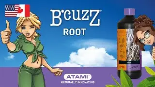 B'cuzZ Root (US-CA)