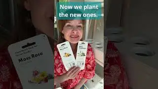 How to Plant a NEW Crop in Click and Grow Smart Garden - Indoor Flower Gardening Flowers
