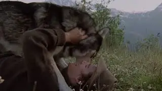 White Fang (1991) - Ending Scene
