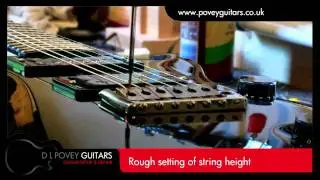 PRS Guitar setup