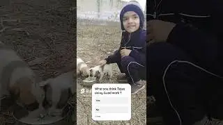 Tejas feeding Puppy #doglover #dog #bezuban #saintkabir #motivation #sauravjoshivlogs #kidslearning