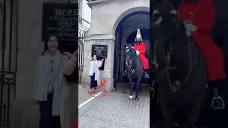 Japanese respeet#respect#kingguard#royalguard#buckinghampalace#fyp