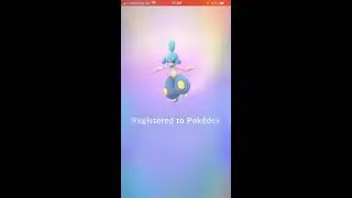 POKEMON SHINY EVALUATION
