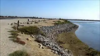 August 19, 2012: Bolsa Chica Ecological Reserve