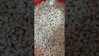 Cashew Kernel by Nobedo Cashew Nigeria Limited