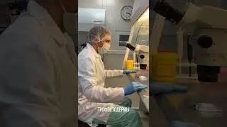 What does an embryologist do?