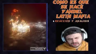 | JUSTBMUSIC | REACCION a COMO ES QUE HACE - YANDEL & LATIN MAFIA