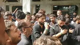 20 Safar Pinanwal 2025