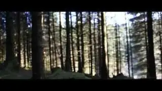 Beluga Lagoon -  To A Place