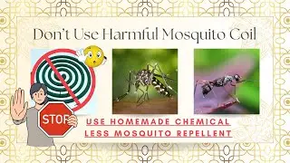 Eco-Friendly☘️Solution: Homemade Mosquito Repellent ಮನೆಯಲ್ಲಿ ತಯಾರಿಸಿದ ಸೊಳ್ಳೆ ನಿವಾರಕ 🦟