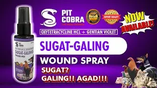Ang Bagong Wound Healing Spray ng Pit Cobra The Game Changer #PitCobra #subscribe