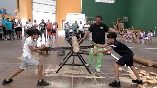 Corte de tronco con sierra en San Leonardo de Yagüe - 2023