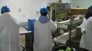 Упаковка салатов и готовых порционных блюд ATS Tanner