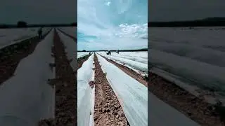 #respect#farmers