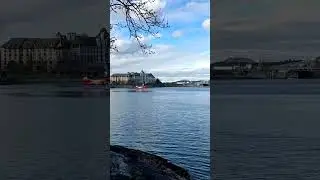 Seaplane #downtownvictoria #victoriabc #greatervictoria #travel eaplane