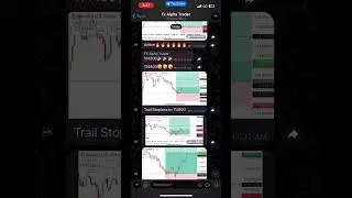 Free Telegram signals gold and BTC #telegram #free #forexsignals