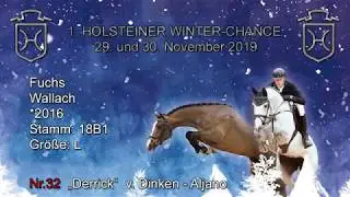 1. Holsteiner Winter-Chance | Nr. 32 Derrick