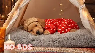 12 HOURS of Dog Calming Music 😌 Calm Mind Therapy & Anxiety Relief for Dogs ❤️ No Ads