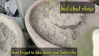 Little mali doing gardening l favourite hobby l plantation l small gardener l avocardo plants