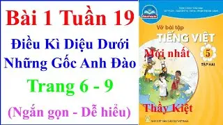 Vở Bài Tập Tiếng Việt Lớp 5 Bài 1 Tuần 19 | Điều Kì Diệu Dưới Những Gốc Anh Đào | Trang 6 – 9